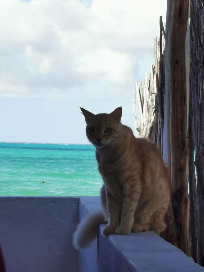 Fisherman Lodge Paje Luaran gambar